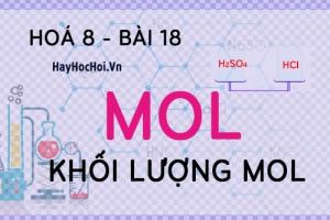 Mol là gì, cách tính Khối lượng Mol và Thể tích Mol của chất khí - hoá 8 bài 18